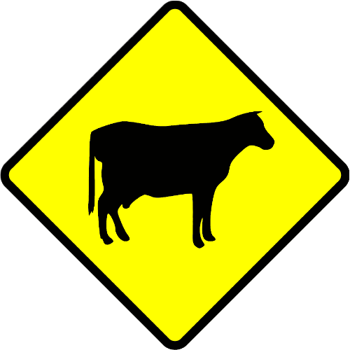 vaca